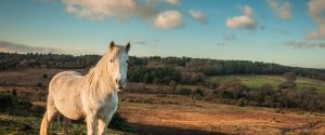Hampshire School Holidays 2024 and 2025 - PublicHolidays.co.uk