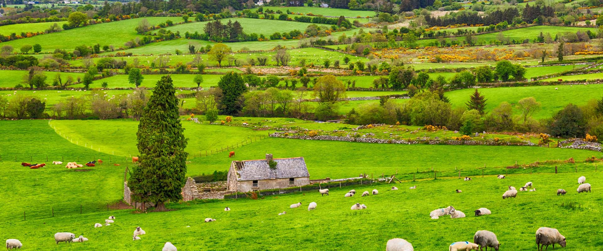 Northern Ireland Bank Holidays 2020 PublicHolidays co uk